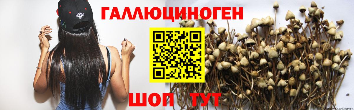 Галлюциногенные грибы ЛСД Киров